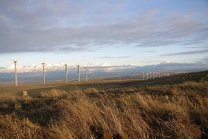 Spinning Towards a Greener Tomorrow: The Role of Wind Turbines